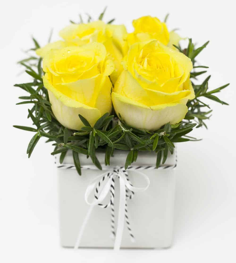 Beautiful Rose Cube Yellow