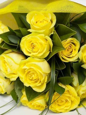 Classic Dozen Yellow Roses