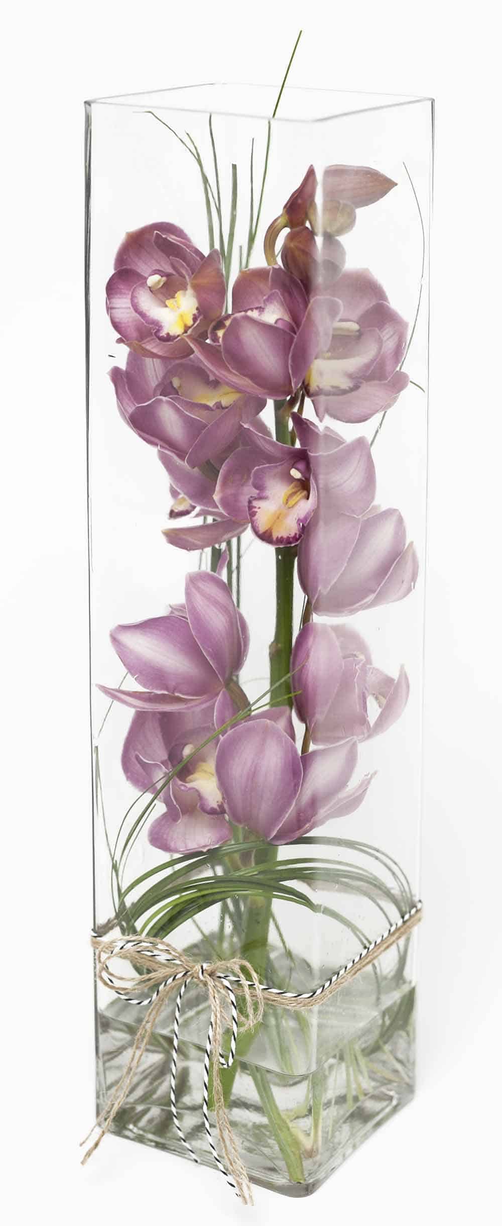 Cymbidium Orchid In Tall Cylinder Vase