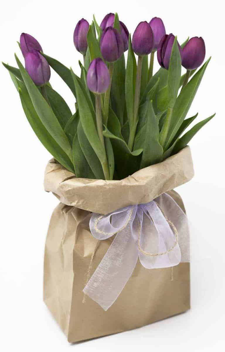 Fresh Beautiful Day With Hamilton Florists Expressions