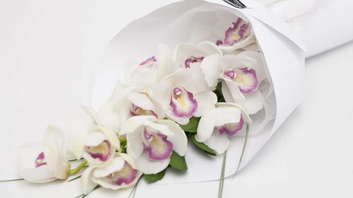 White Orchid Bouquet Hamilton Cambridge Nz