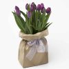 tulips-purple-seasonal-flowers-expressions-florist-cambridge-nz-hamilton