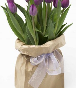 Funky-Bagged-Tulips