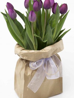 Funky-Bagged-Tulips