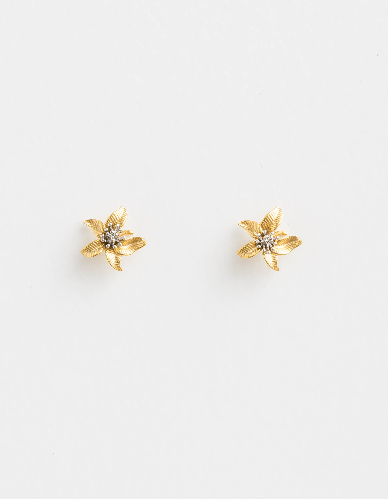 Stella Gemma | Earrings | Tiger Lily Gold | Expressions