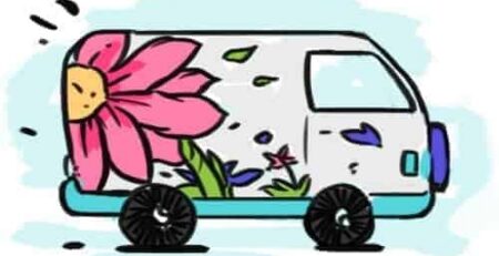 flower-delivery-hamilton-cambridge