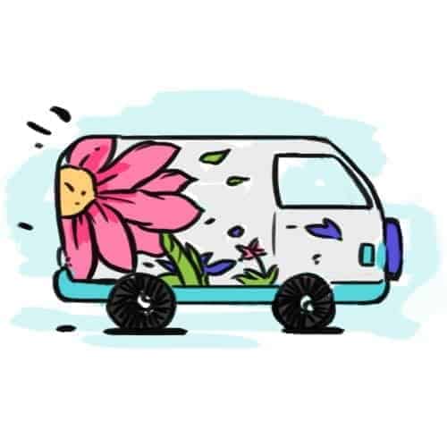 flower-delivery-hamilton-cambridge