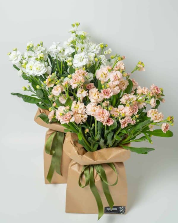 expressions-local-cambridge-hamilton-florist-delivery-funky-stock-flowers-bag