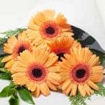 expressions-local-cambridge-hamilton-florist-delivery-orange-gerbera-flower-bouquet