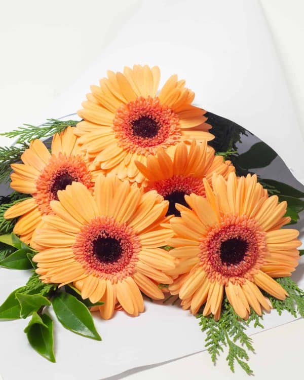 expressions-local-cambridge-hamilton-florist-delivery-orange-gerbera-flower-bouquet