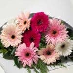 expressions-local-cambridge-hamilton-florist-delivery-pastel-gerbera-flower-bouquet