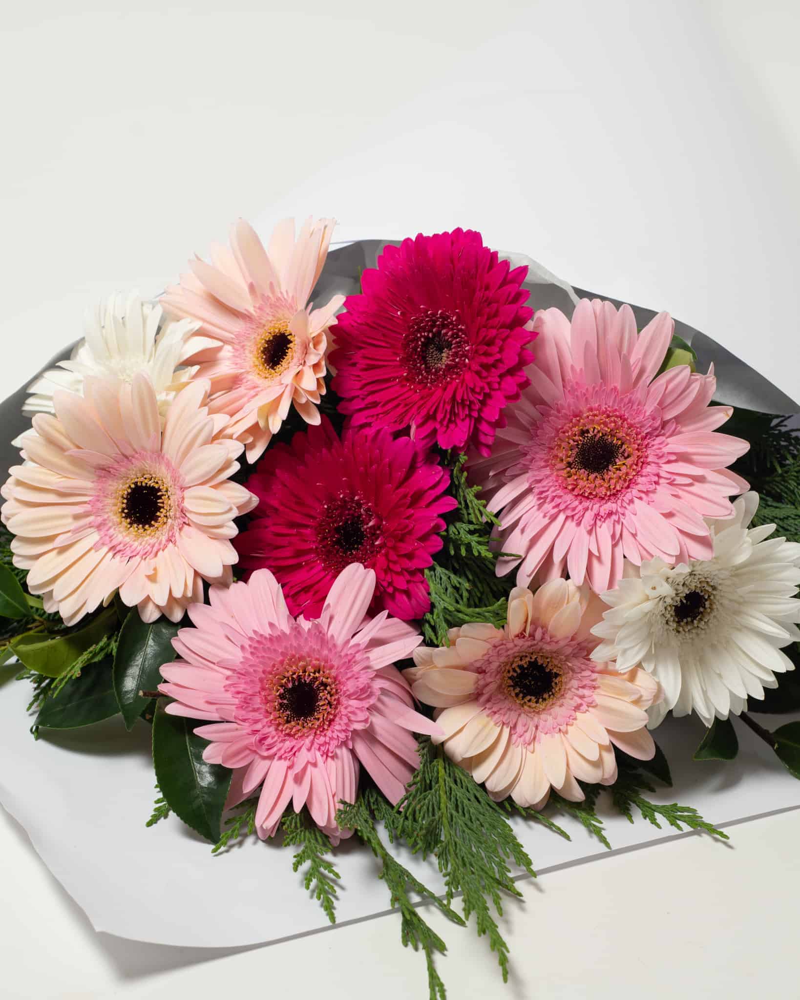 expressions-local-cambridge-hamilton-florist-delivery-pastel-gerbera-flower-bouquet expressions-local-cambridge-hamilton-florist-delivery-pastel-gerbera-flower-bouquet