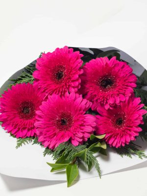 expressions-local-cambridge-hamilton-florist-delivery-pink-gerbera-flower-bouquet