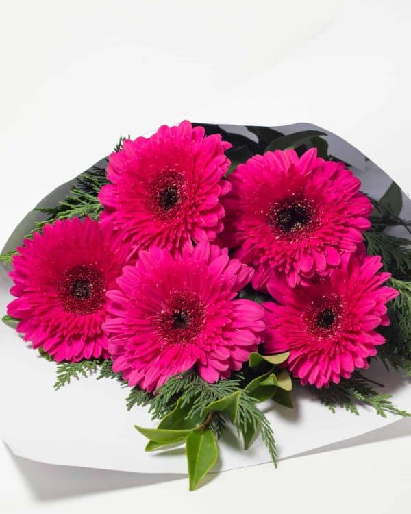 expressions-local-cambridge-hamilton-florist-delivery-pink-gerbera-flower-bouquet