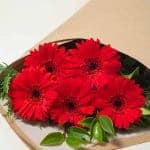 expressions-local-cambridge-hamilton-florist-delivery-red-gerbera-flower-bouquet