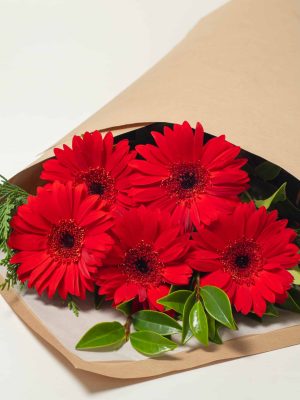 expressions-local-cambridge-hamilton-florist-delivery-red-gerbera-flower-bouquet
