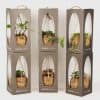 kokodama-hanging-plant-florist-cambridge-hamilton-expressions-gift