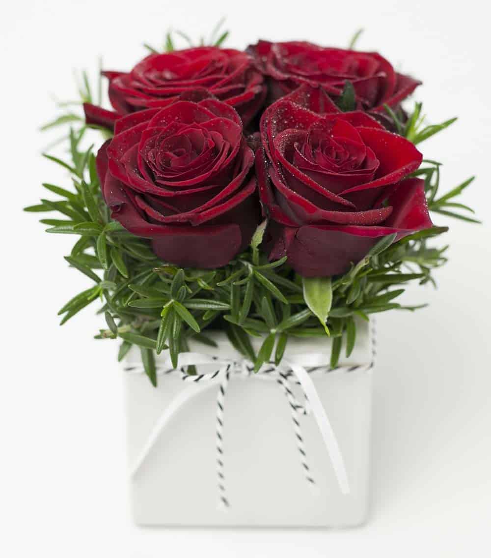 Beautiful Rose Cube Red - Image 1