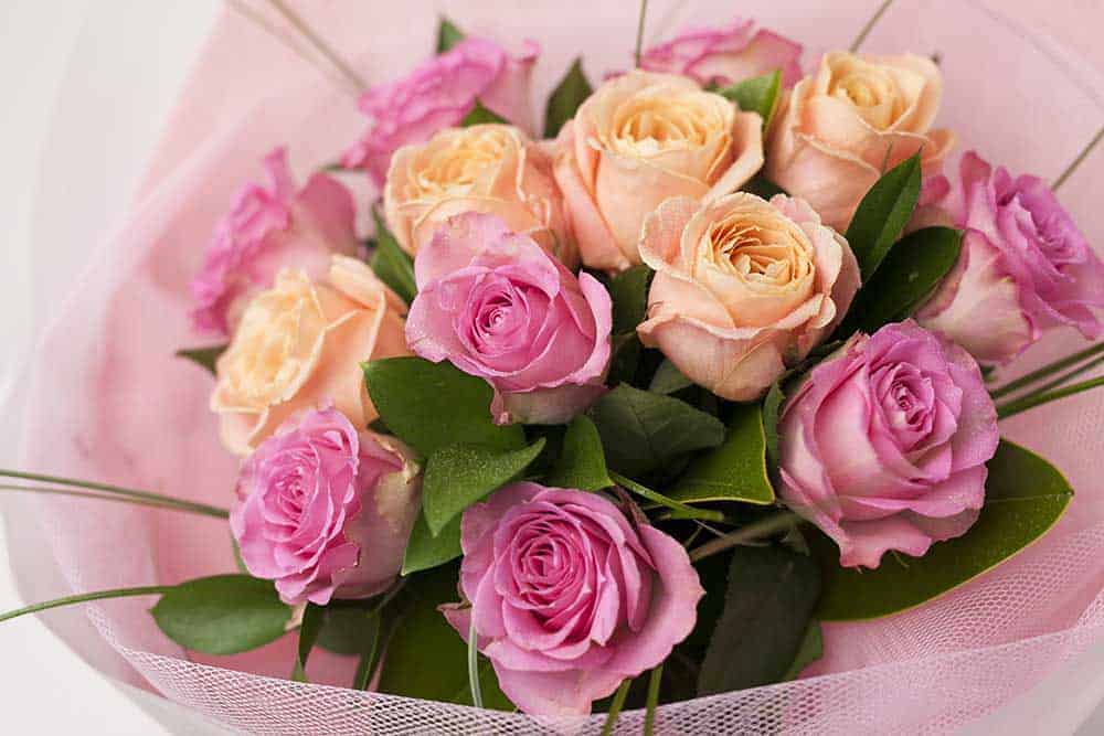 Classic Dozen Pink Roses - Image 1