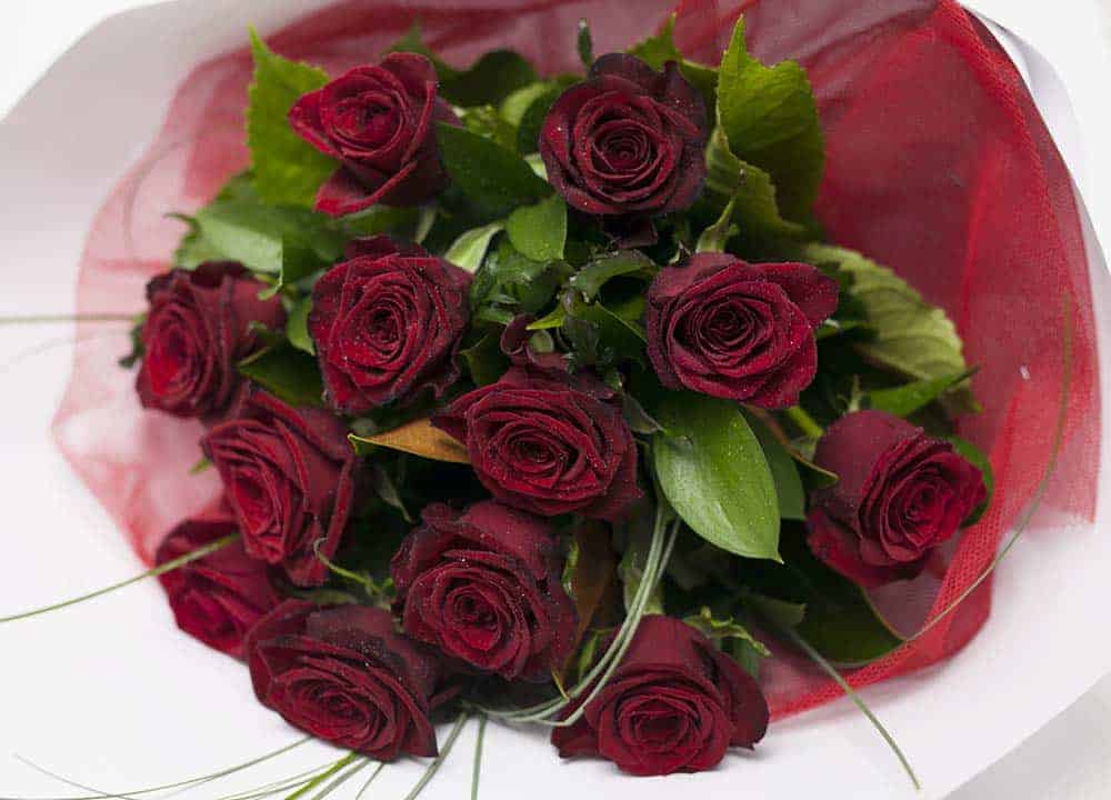 Classic Dozen Red Roses