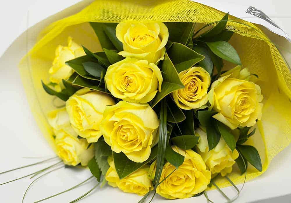 Classic Dozen Yellow Roses