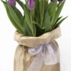 Funky Bagged Tulips