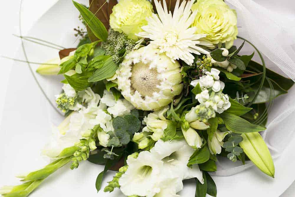 A Long Stemmed Bouquet - White - Image 1