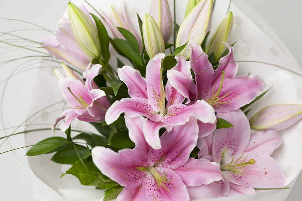 Oriental Lilies Bouquet Pink - Image 1