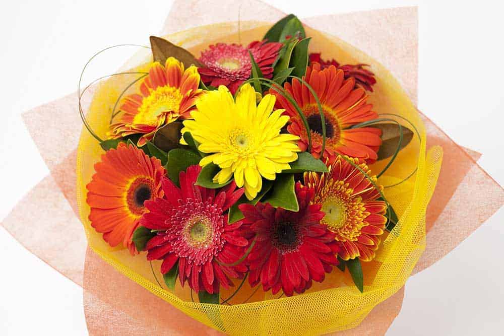 Perfect Gerbera Bouquet - Bright - Image 2