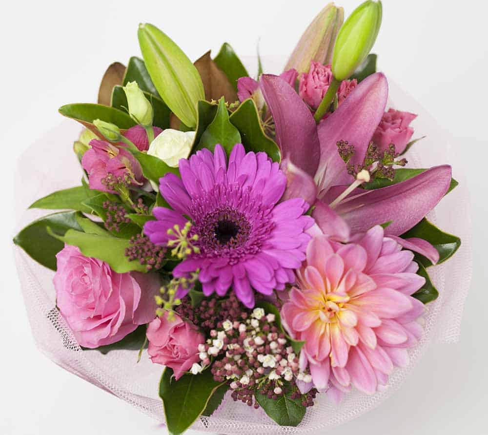 Posy Bright Pink - Image 2