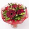 Posy Red - Thumbnail Image 2