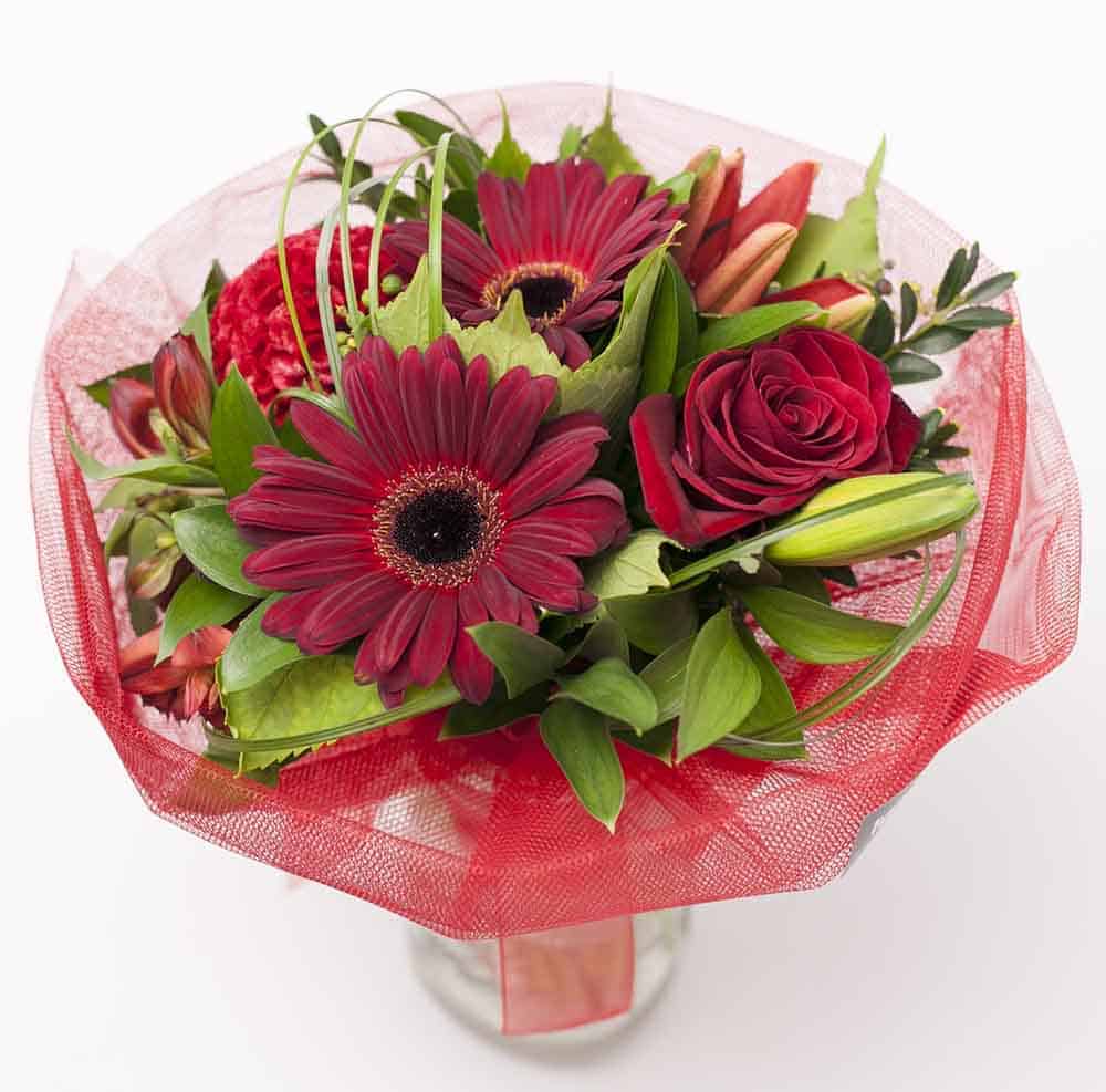 Posy Red - Image 2