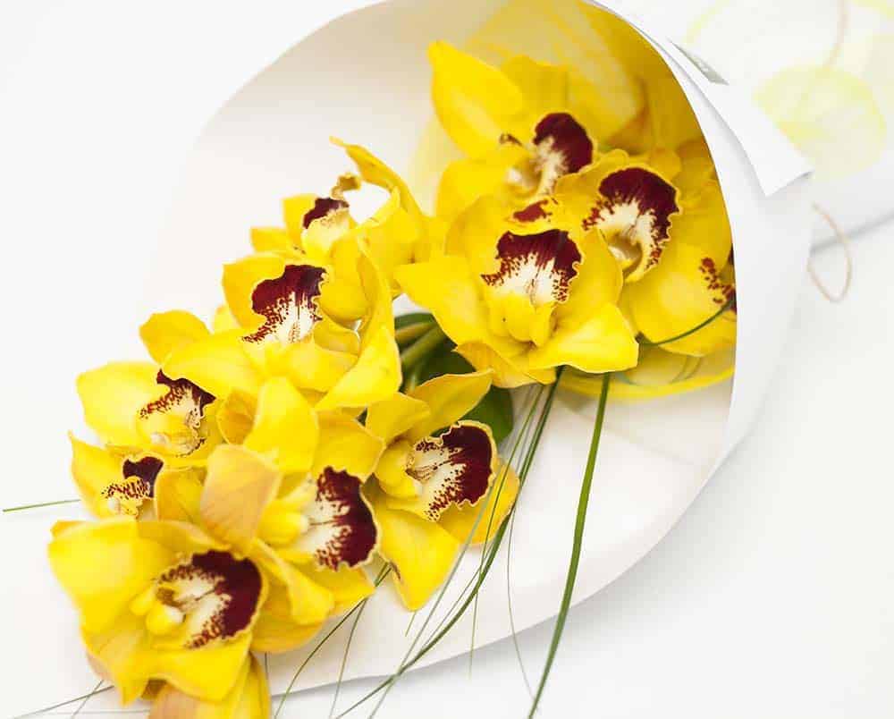 Cymbidium Orchid Bouquet - Image 1