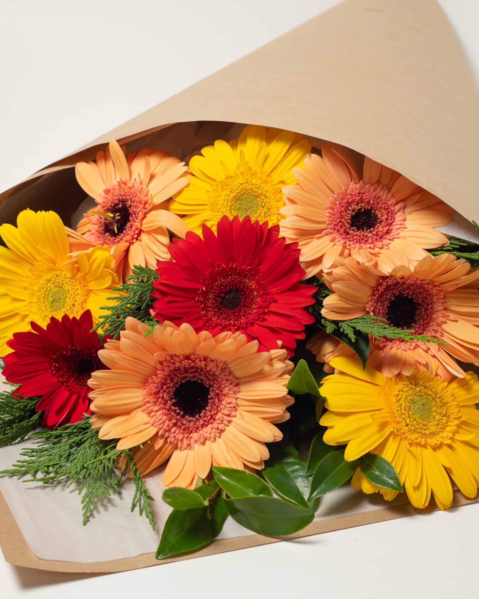 expressions-local-cambridge-hamilton-florist-delivery-bright-gerbera-flower-bouquet