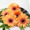 expressions-local-cambridge-hamilton-florist-delivery-orange-gerbera-flower-bouquet