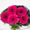 expressions-local-cambridge-hamilton-florist-delivery-pink-gerbera-flower-bouquet
