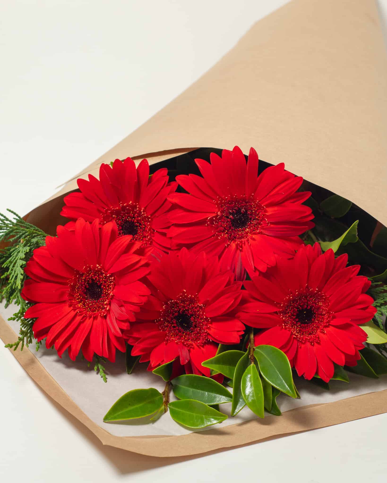 expressions-local-cambridge-hamilton-florist-delivery-red-gerbera-flower-bouquet