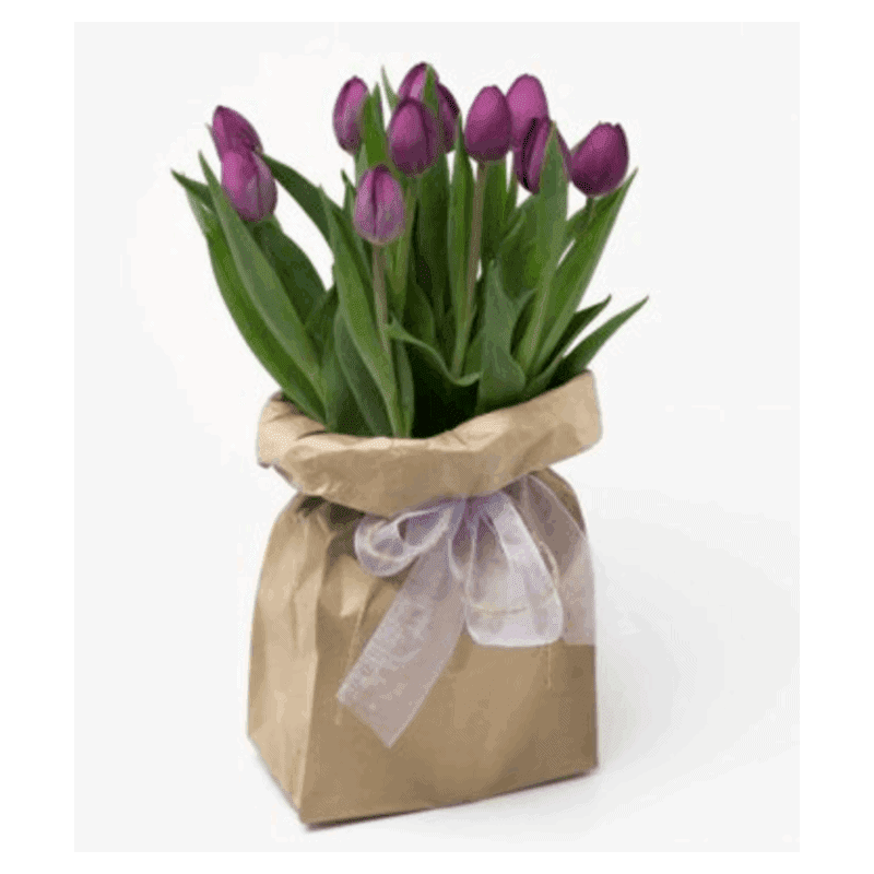 funky-tulip-bag