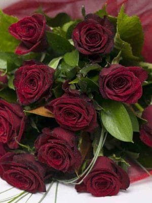 Roses