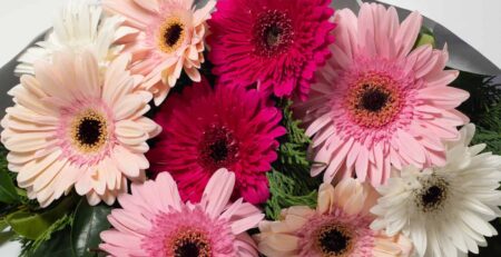 Pastel bouquet from a Cambridge florist