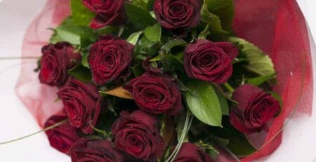 How much do roses cost: classic dozen red roses from Expressions Cambridge