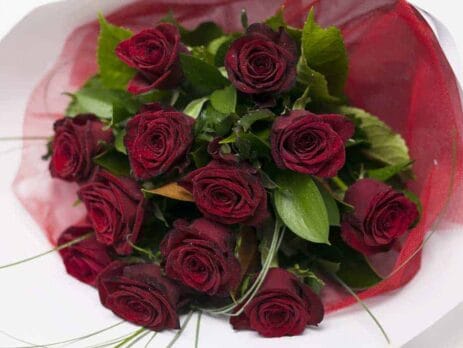How much do roses cost: classic dozen red roses from Expressions Cambridge