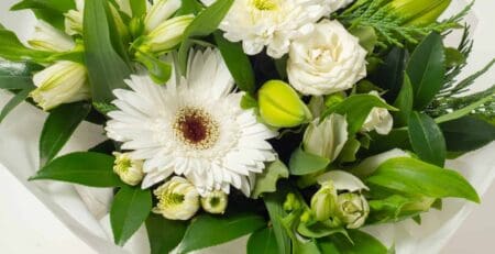 White flower box delivered in Cambridge, New Zealand